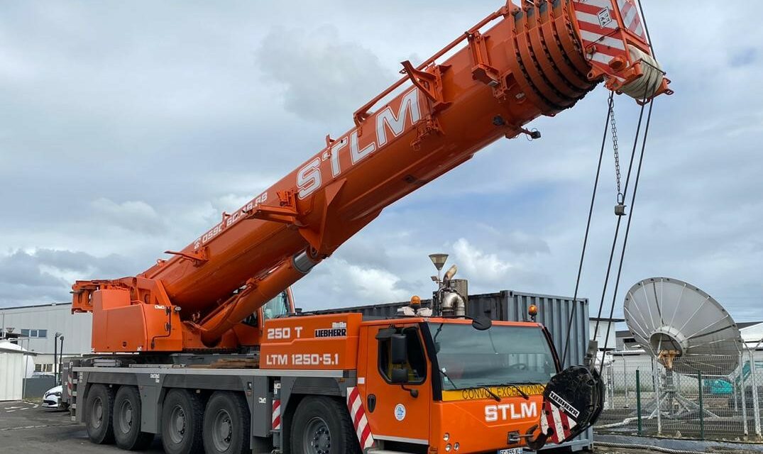 Nos grues