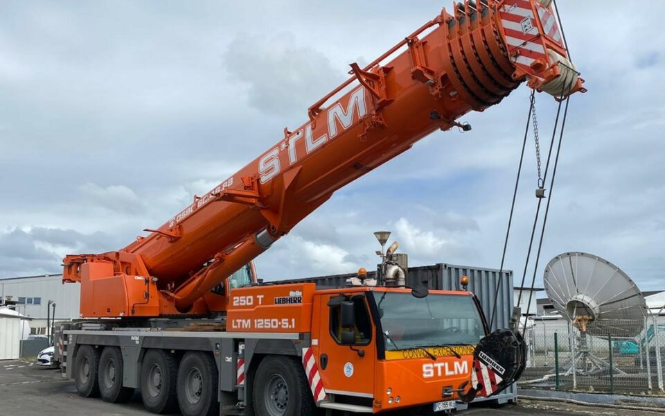 Nos grues